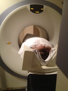 Hey where did everyone go?